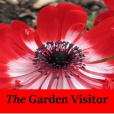 The Garden Visitor2